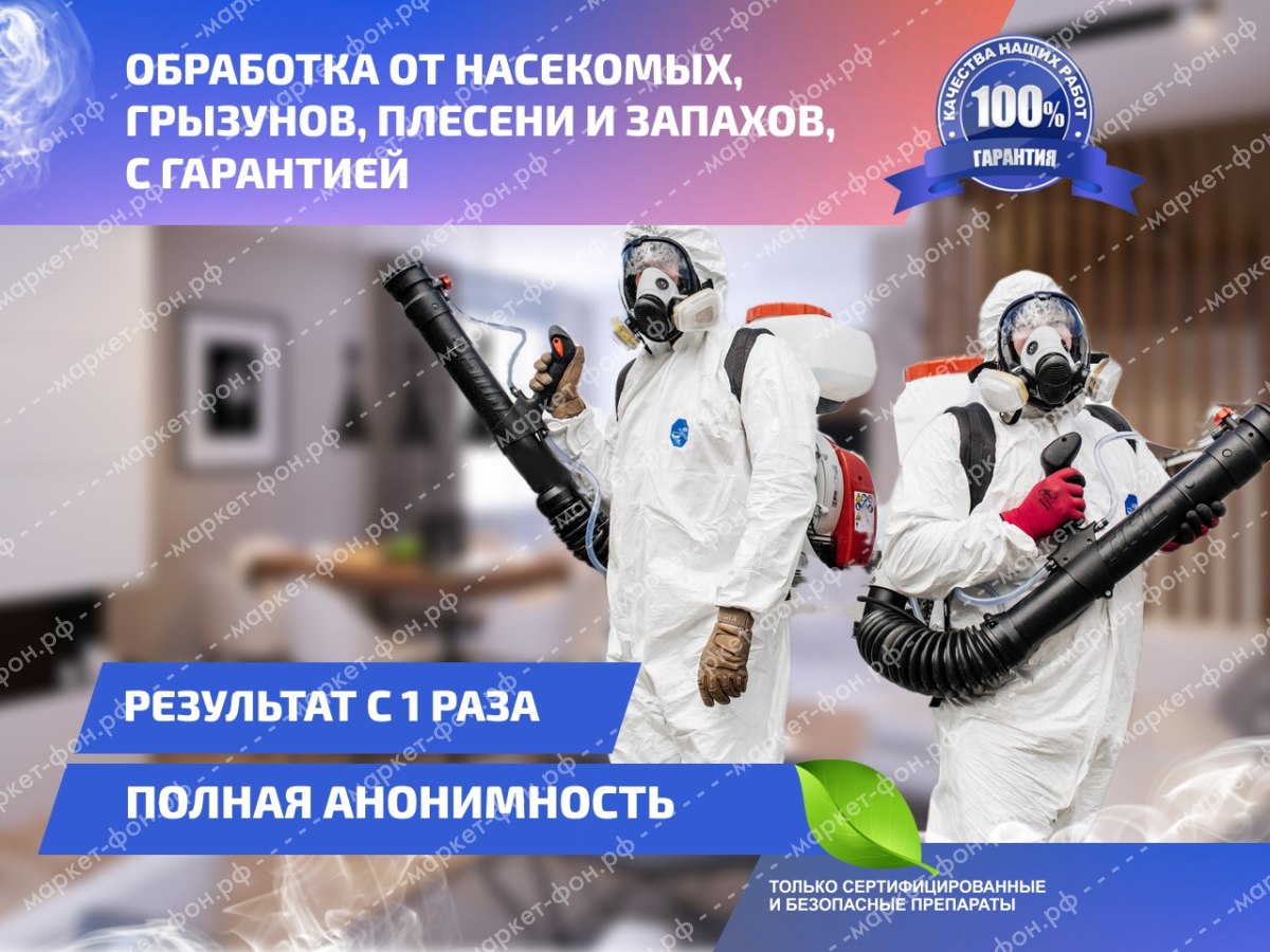 Инфографика для Авито объявлений-Обработка помещений