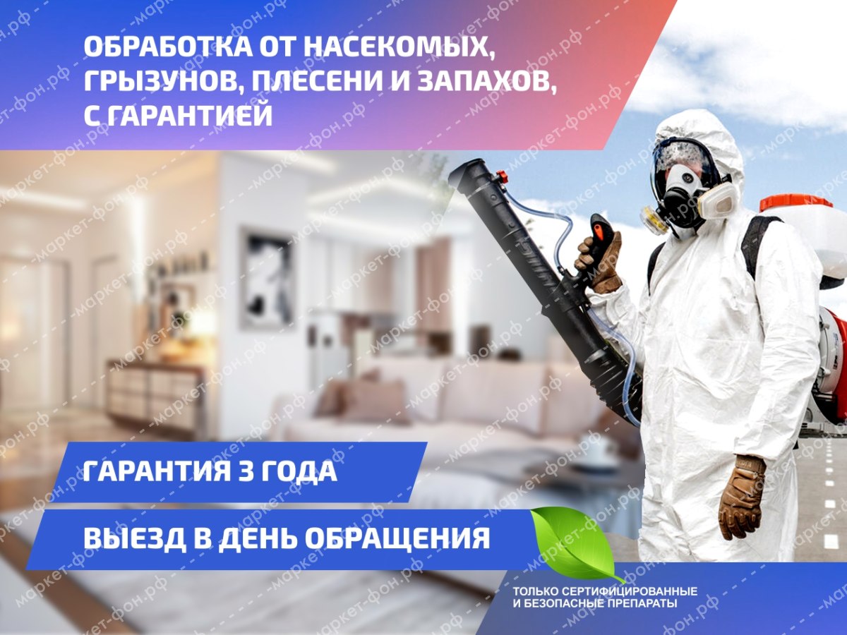 Инфографика для Авито объявлений-Обработка помещений