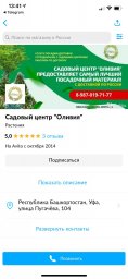 Почему на мобильной версии фона для Авито пустое место ? 5