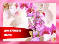 Новый фон для Авито на тему продажи цветов 7