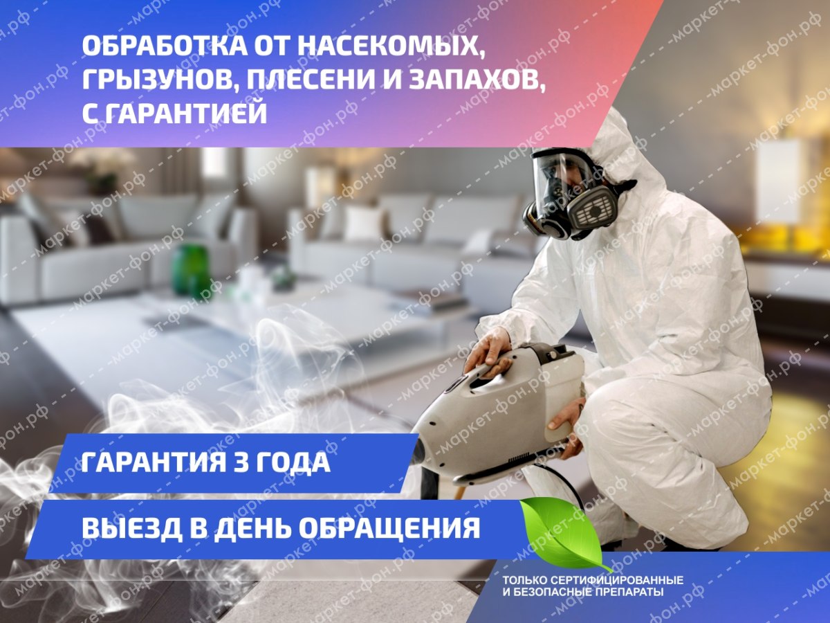 Инфографика для Авито объявлений-Обработка помещений