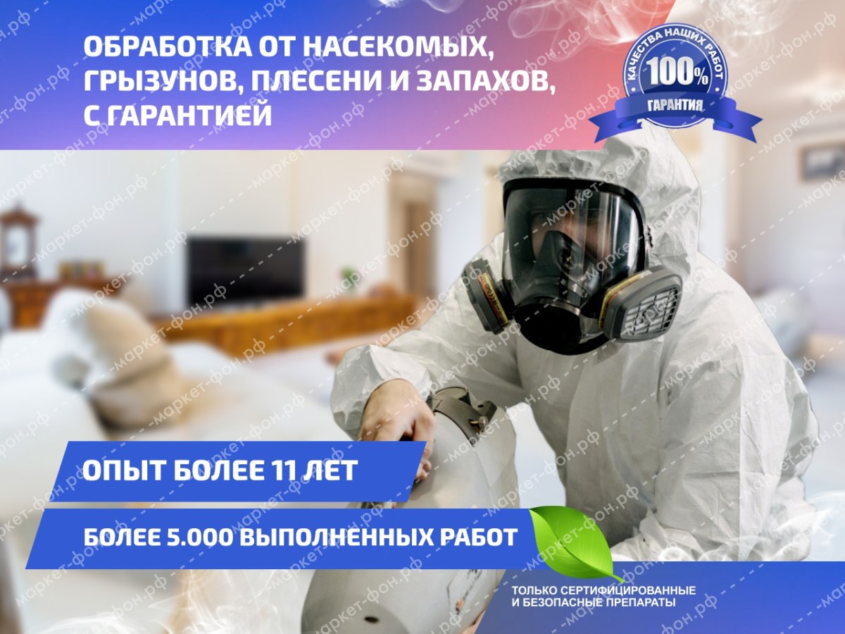 Инфографика для Авито объявлений-Обработка помещений