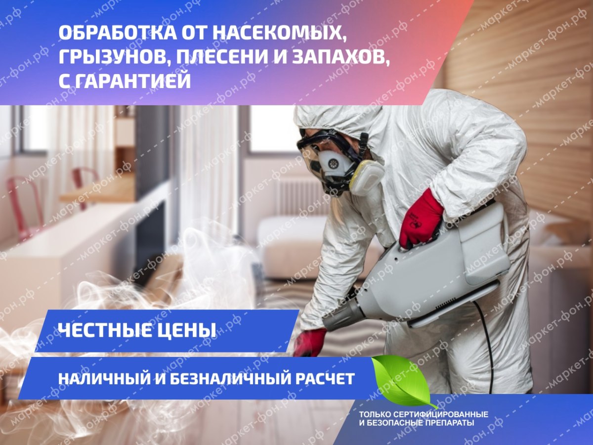 Инфографика для Авито объявлений-Обработка помещений