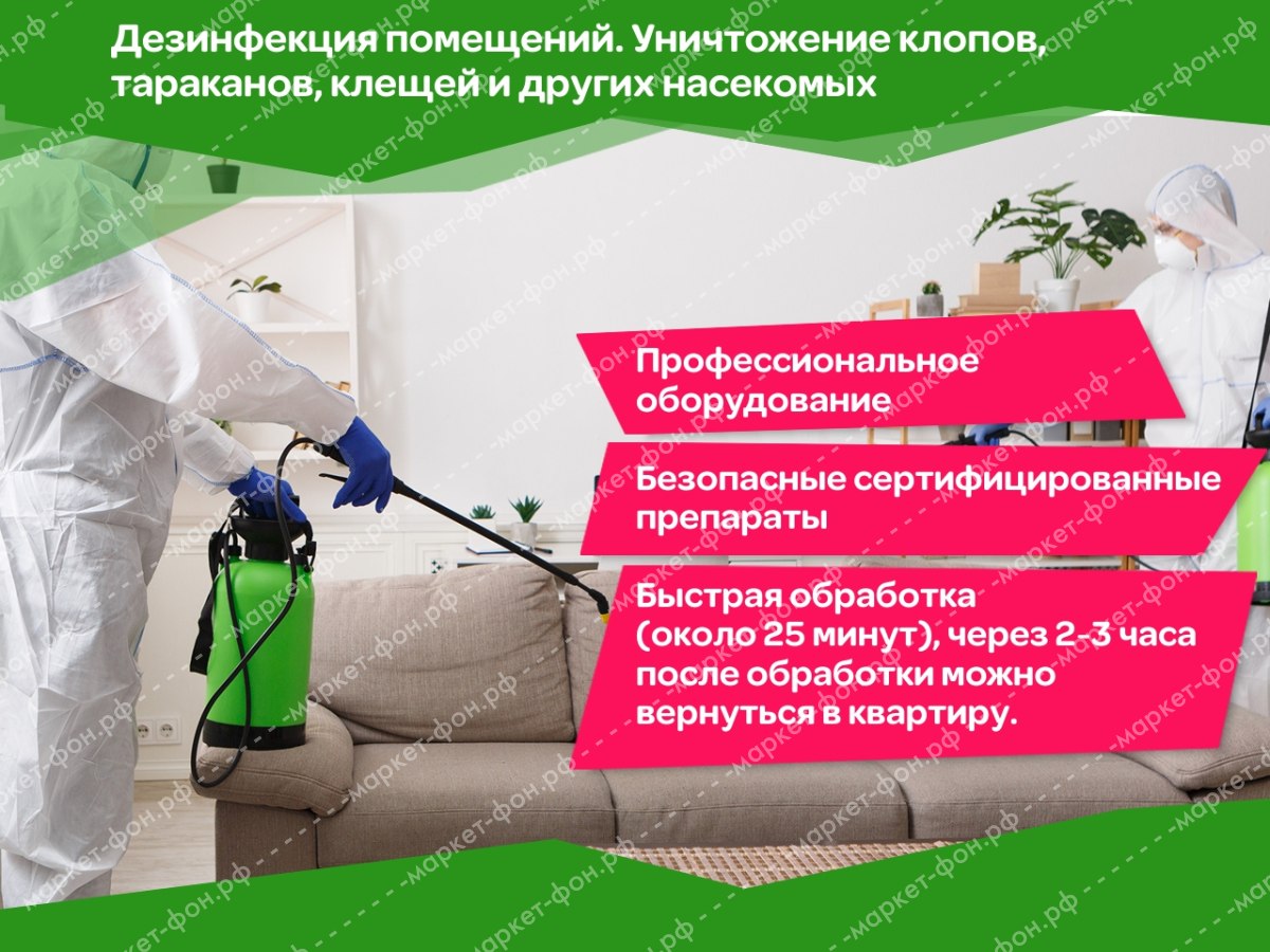 ​Фото и креативы для Авито объявлений-Обработка от тараканов, блох, комаров, клещей