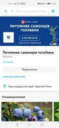 Почему на мобильной версии фона для Авито пустое место ? 0